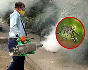 Pest Control Services