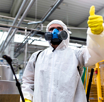 Professional Pest Control Services