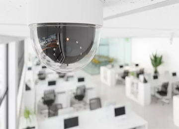 IP Cameras
