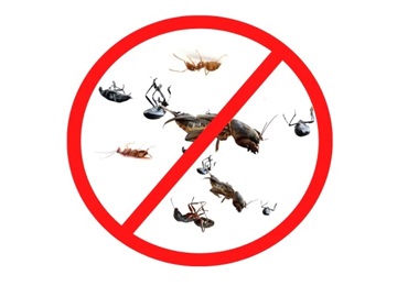 General Pest Control