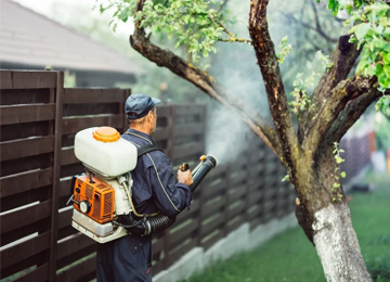 Eco Friendly Pest Control